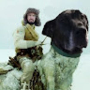 Meet your Posher, Joseph